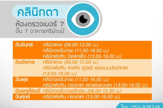 eye web copy