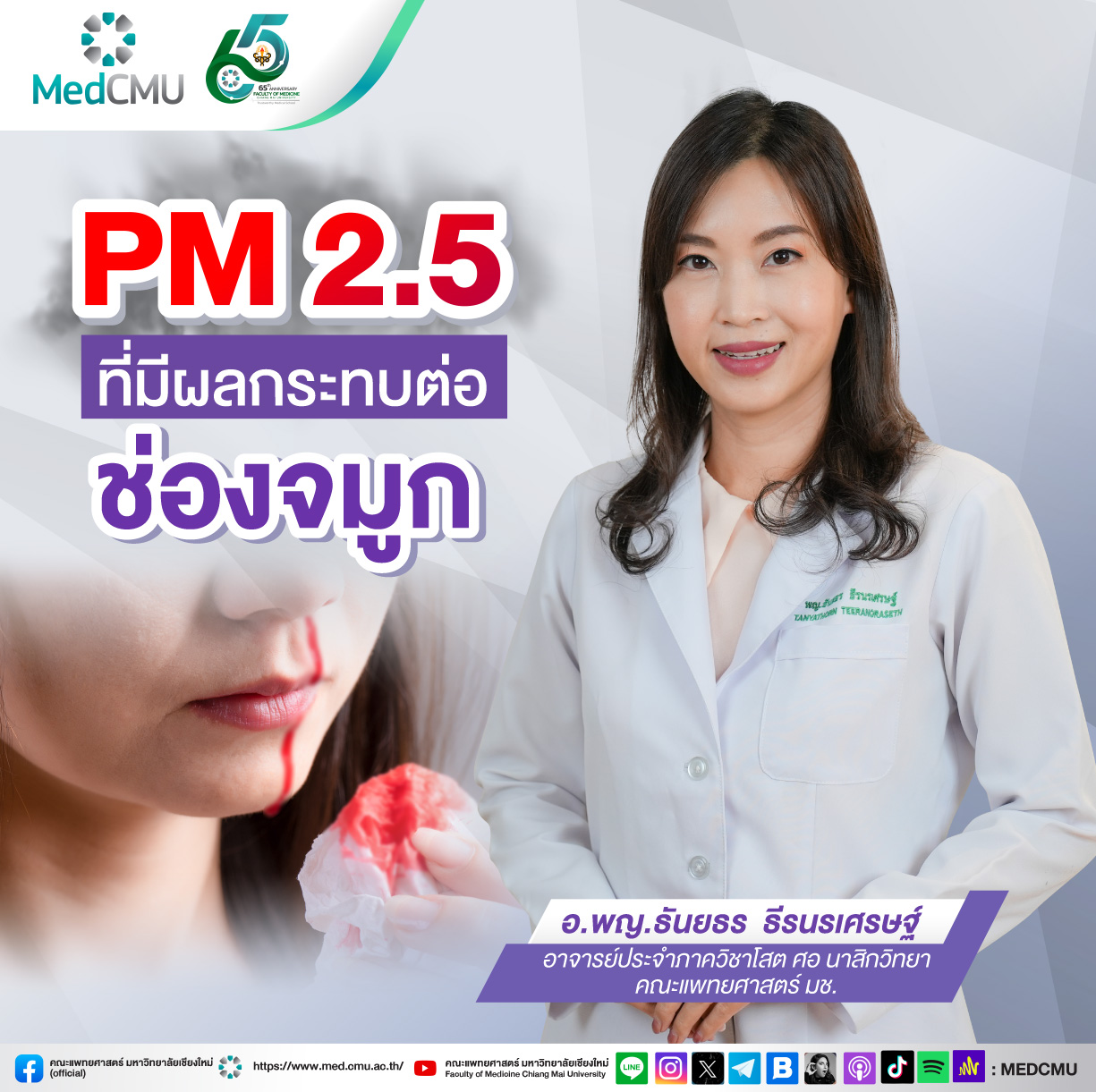 banner clip pm 2.5 ช่องจมูก all