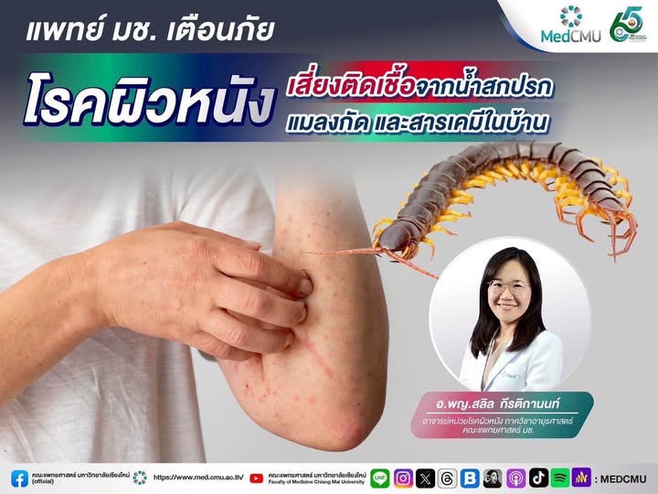 539180972_1229941515603425_9026052808214425338_n