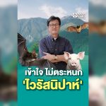 เว็บ ตต 28