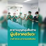 เว็บ ตต 29