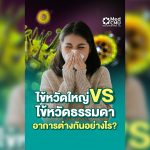 เว็บ ตต 30