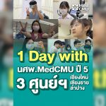 เว็บ ตต 31