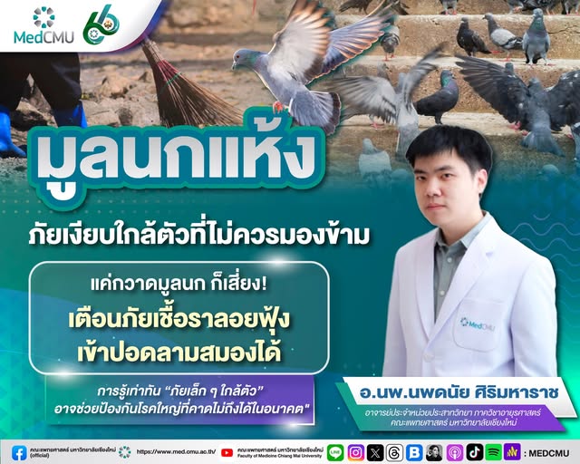 654590971_10240866242063966_6889639581252408222_n