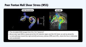 668575828_1409222994341942_5677661983846921799_n