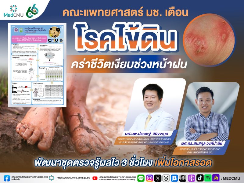 banner ไข้ดิน