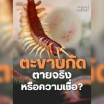 Hotlinenews (2).png