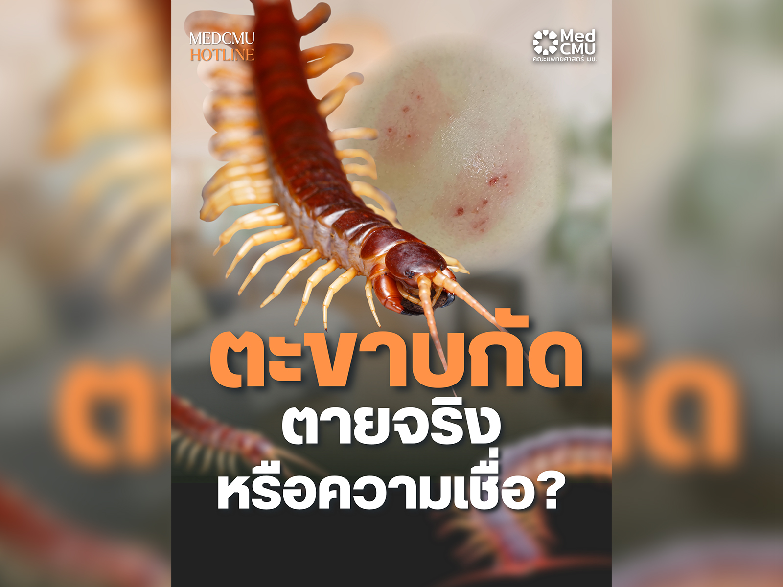 Hotlinenews (2).png