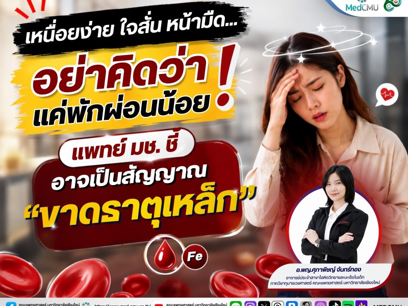 ธาตุเหล็ก_พี่ติ้ง (3)
